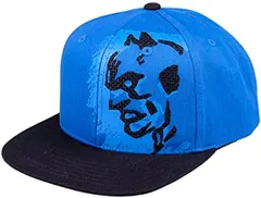 Concept One Warner Bros DC Comics Batman The Dark Knight Snapback Hat with Curved Brim