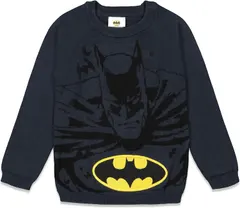 DC Comics Batman Boys Crew-Neck Pullover Sweater