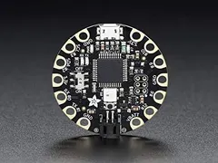 FLORA - Wearable electronic platform