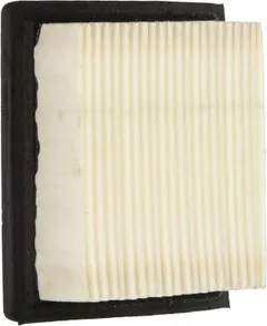 Tecumseh 36046 Air Filter
