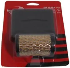 Tecumseh 740019B Air Filter