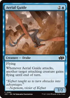 Aerial Guide #282
