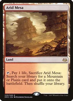 Arid Mesa #229