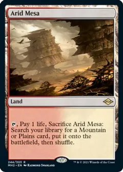 Arid Mesa #244