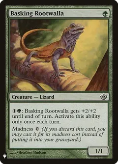 Basking Rootwalla #2