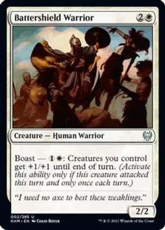 Battershield Warrior #2