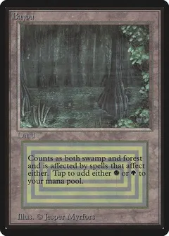 Bayou