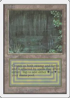 Bayou