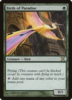 Birds of Paradise [Foil]