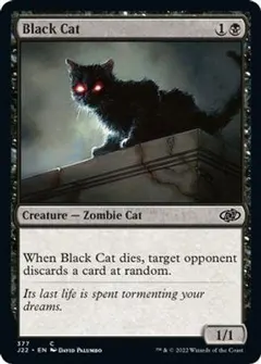 Black Cat #377