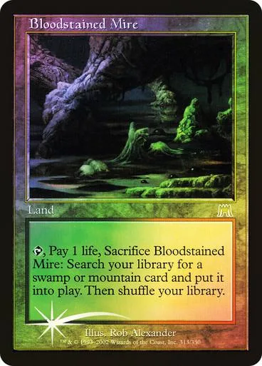 Dark swamp landscape on a Magic: The Gathering land card.