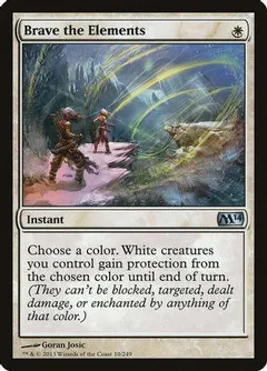 Brave the Elements [Foil]