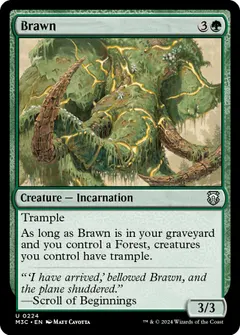 Brawn #224