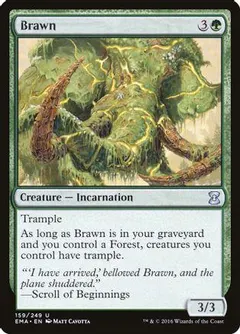 Brawn [Foil]
