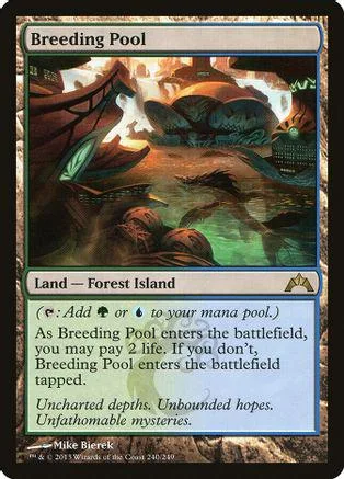 Fantasy landscape art on a Magic: The Gathering land card.