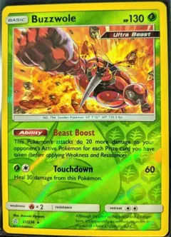 Buzzwole [Reverse Holo] #21