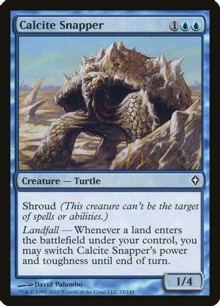 Large brown turtle creature on a rocky landscape, Magic: The Gathering card.