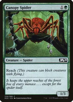 Canopy Spider #339