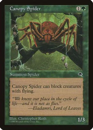 Brown spider on a green web card. Text reads "Canopy Spider.