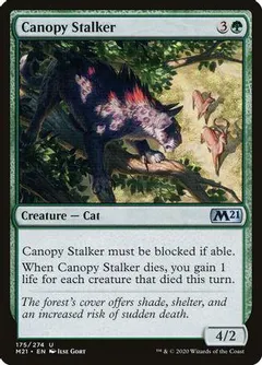 Canopy Stalker [Foil]