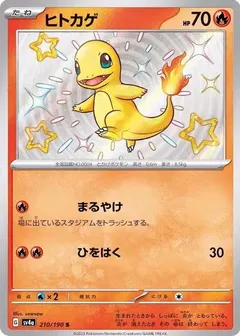 Charmander #210