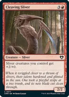 Cleaving Sliver #877