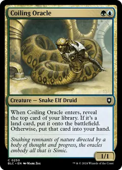 Coiling Oracle #250