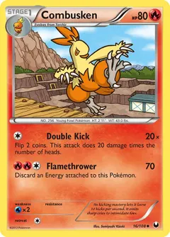 Combusken #16