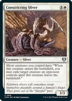 Constricting Sliver #818