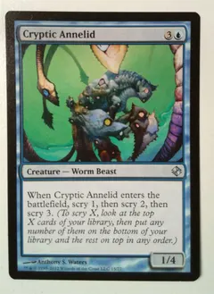 Cryptic Annelid