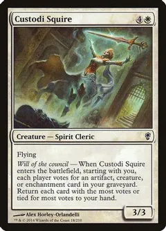 Custodi Squire #18