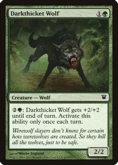Darkthicket Wolf [Foil]