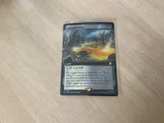 Desolate Mire [Foil] #146