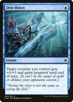 Dive Down #53