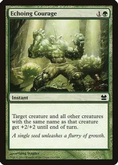 Echoing Courage [Foil]