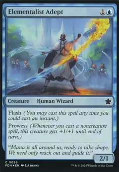 Elementalist Adept [Foil] #36