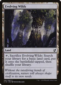 Evolving Wilds #241