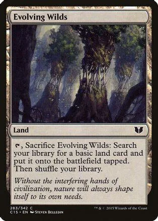 Evolving Wilds land card art: dark, misty forest with large trees.
