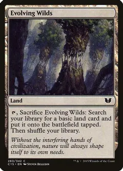 Evolving Wilds #243