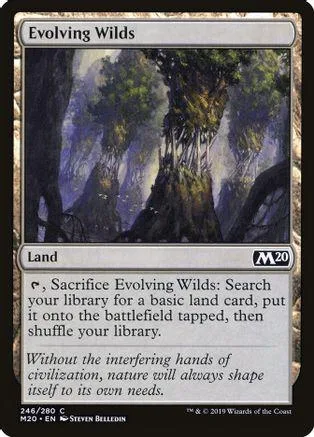 Land card art showing a dense, misty forest with tall trees.