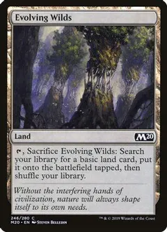 Evolving Wilds #246