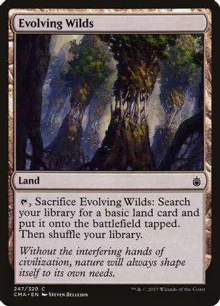 Land card art showing a dense, misty forest with large trees.