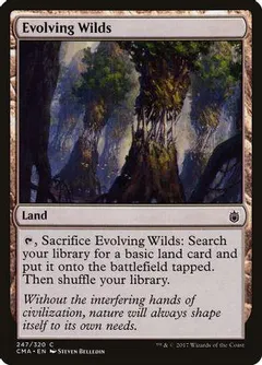 Evolving Wilds #247