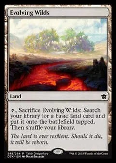 Evolving Wilds #248