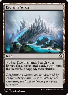 Evolving Wilds #255