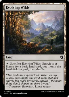 Evolving Wilds #302