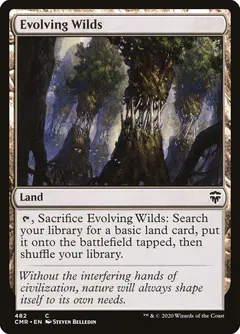 Evolving Wilds [Foil] #482