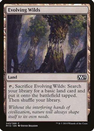 Magic: The Gathering "Evolving Wilds" land card art of a misty forest.