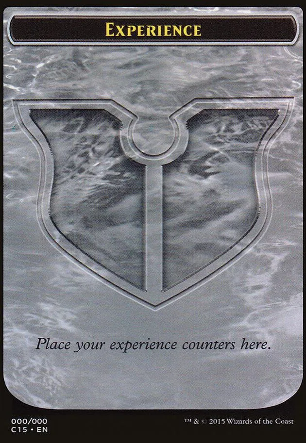 Gray, textured card with a large shield design and "EXPERIENCE" title.