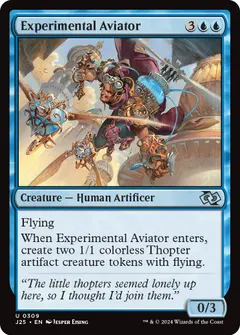 Experimental Aviator #309